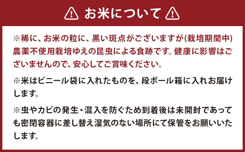 津留いちご園のお米 玄米 農薬・化学肥料不使用（栽培期間中） 6kg 【2024年11月上旬から2025年10月下旬発送予定】 米 お米 ご飯 九州 福岡