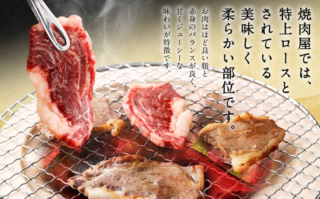 筑後 船小屋牛 リブロース 焼肉 500g 牛肉 特上ロース 冷凍