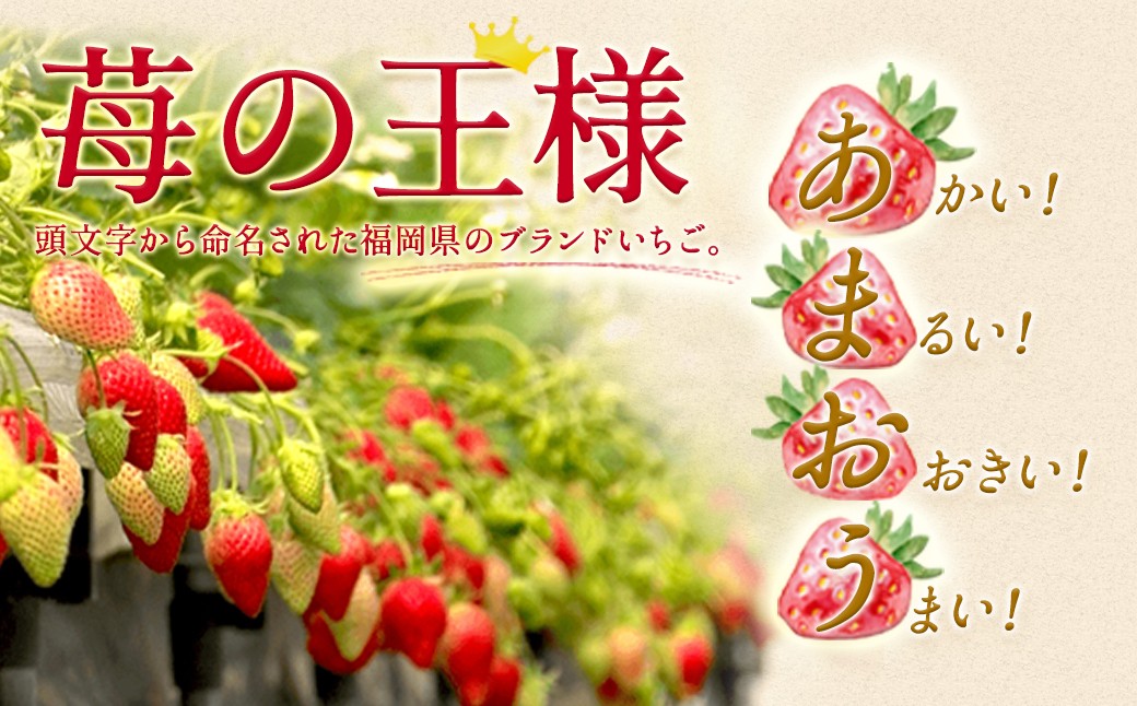 いちご 「あまおう」 約270g×6パック 計約1620g 苺 イチゴ 果物 フルーツ 【2026年2月上旬～2026年3月下旬順次発送予定】