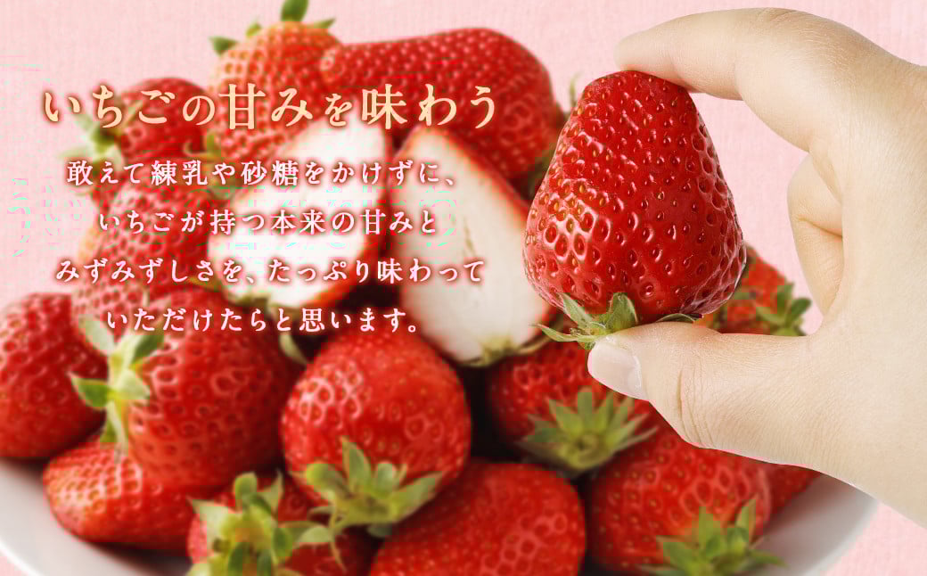 いちご 「かおり野」プレミアム 300g×4パック 約1.2kg 1箱【2025年12月下旬から2026年3月下旬まで発送予定】 苺 イチゴ ベリー 果物 フルーツ デザート おやつ お取り寄せ