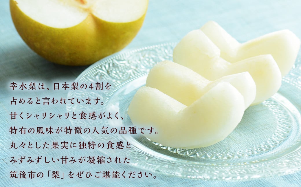 幞氎梚 çŽ3kg 5ïœ8çã2026幎7æäžæ¬ãã8æäžæ¬çºéäºå®ã ã㷠梚 æç© ãã«ãŒã çŠå²¡çç£