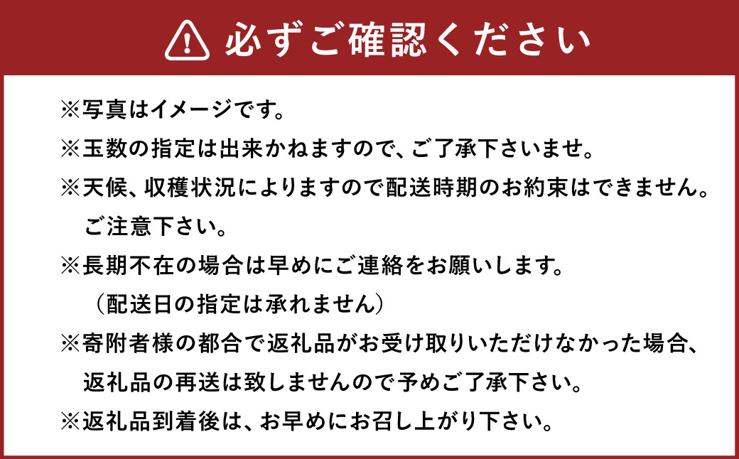 新興梨 9～12玉 約5kg ナシ 梨 福岡県産 【2024年9月下旬～10月下旬発送】