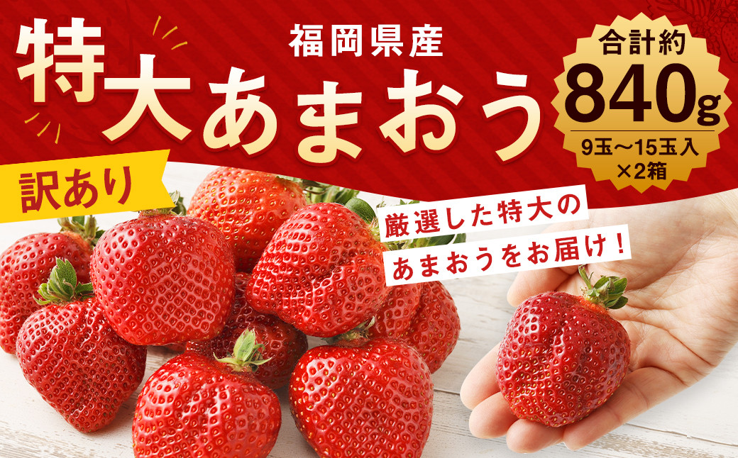 【訳あり】特大 あまおう 9玉～15玉入×2箱 約840g【2025年1月上旬から3月下旬発送予定】 いちご  果物 フルーツ お取り寄せ苺