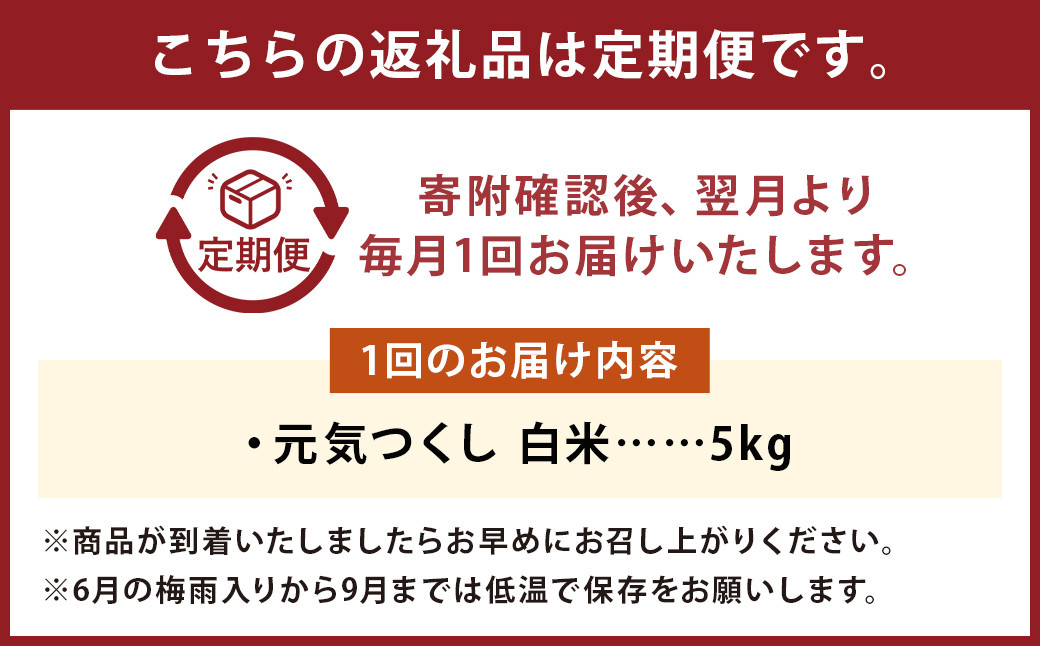 【6回定期便】フタエさんの お米 元気つくし 白米 5kg×6回 計30kg 米 コメ 精米 ごはん ご飯 うるち米 国産 福岡県産 九州産