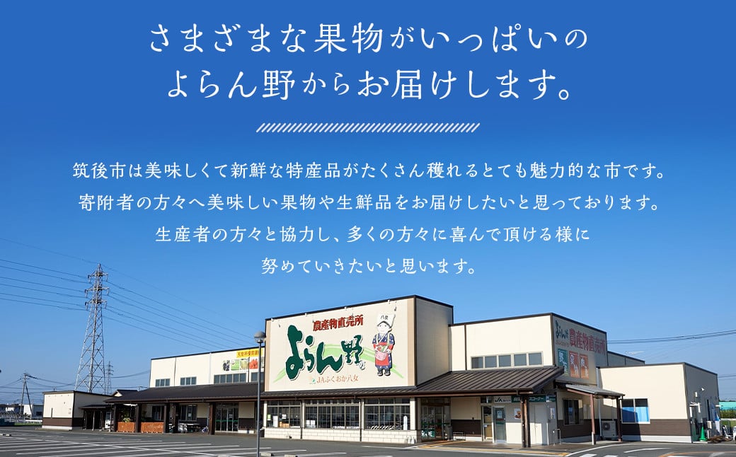  桃 8玉～9玉 福岡県産 産地直送 フルーツ 果物 もも ピーチ 果物 フルーツ お取り寄せ 【2026年6月上旬～7月下旬発送】
