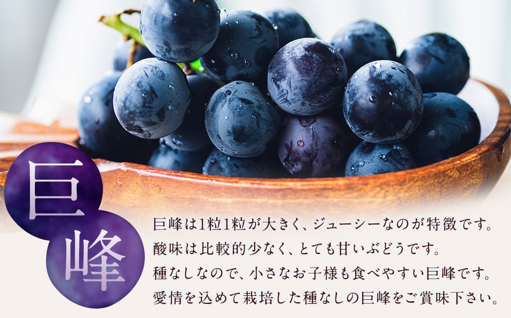 数量限定 種なし 巨峰  約350g×4パック 計約1.4kg 【2025年6月下旬～8月上旬発送予定】ぶどう ブドウ 果物 フルーツ 福岡県産