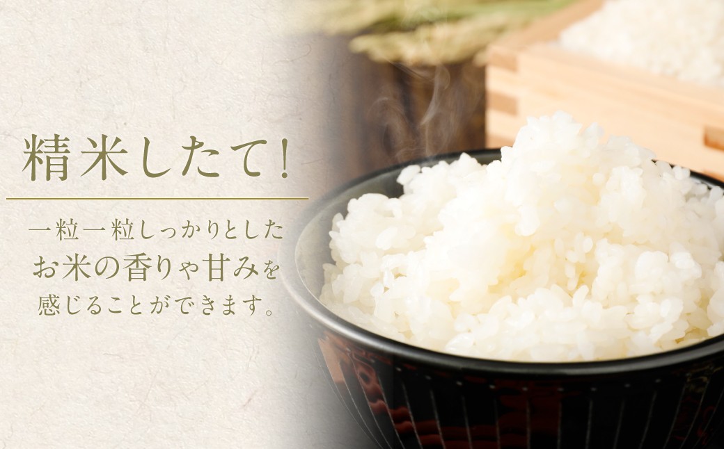 【12回定期便】 筑後の実り 15kg×12回 定期便 米 白米 ブレンド ご飯 国産 贈り物 定期便 福岡県 筑後市