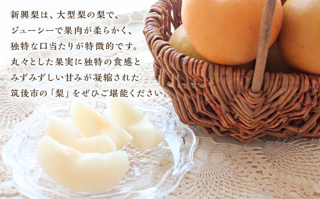 æ°è梚 9ïœ12ç çŽ5kgã2025幎9æäžæ¬ïœ10æäžæ¬çºéã ã㷠梚 æç© ãã«ãŒã çŠå²¡çç£