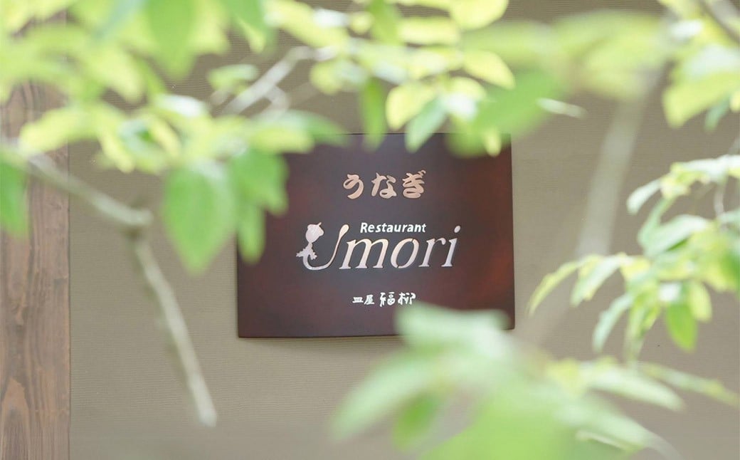 うなぎのせいろむし弁当 4個 冷凍 /  鰻 うなぎ せいろ蒸し かば焼き 蒲焼 冷凍