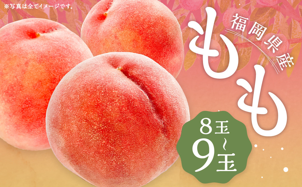 桃 8玉～9玉 福岡県産 産地直送 フルーツ 果物 もも ピーチ 果物 フルーツ お取り寄せ 【2026年6月上旬～7月下旬発送】