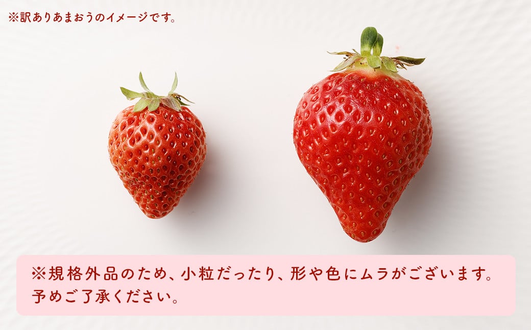 【訳あり】 福岡県産 あまおう 約660g 約330g×2パック 【2025年3月上旬～3月下旬発送】 中粒 小粒 いちご 苺 イチゴ 果物 フルーツ