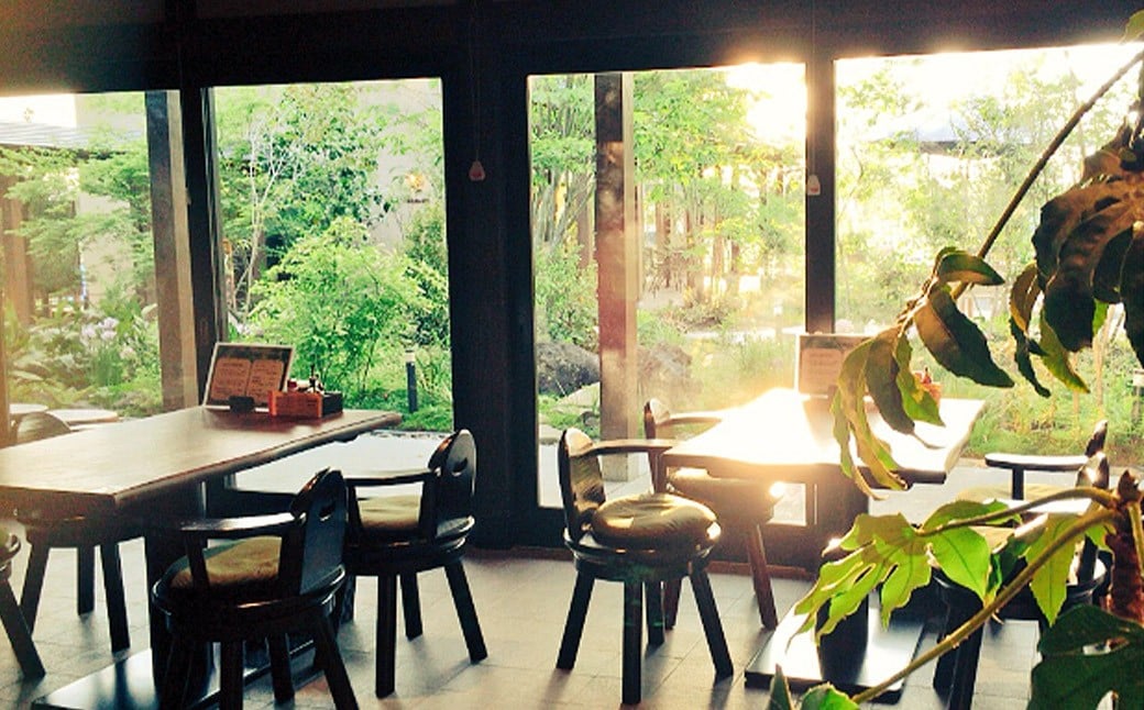 うなぎのせいろむし弁当 4個 冷凍 /  鰻 うなぎ せいろ蒸し かば焼き 蒲焼 冷凍