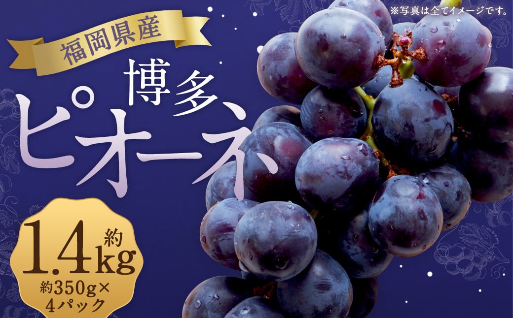 数量限定 博多ピオーネ 約350g×4パック 計約1.4kg【2025年6月下旬～8月上旬発送予定】 ぶどう ブドウ 果物 フルーツ 福岡県産