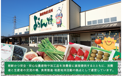  【期間限定】博多 あまおう いちご エクセレント 約450g×2パック 合計約900g【2025年1月下旬～2月下旬順次発送予定】