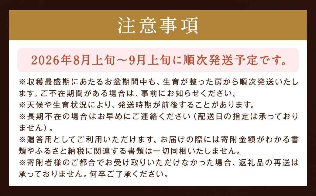 【贈答用】福岡県産 シャインマスカット 糖度18度以上・大粒15g以上 桐箱入り 650g前後（1房）/冷蔵 当日発送【2026年8月上旬〜9月上旬発送予定】 葡萄 ぶどう ブドウ マスカット 果物 フルーツ 国産