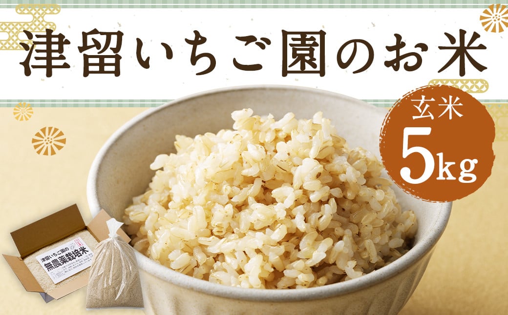 津留いちご園のお米 玄米 農薬・化学肥料不使用（栽培期間中） 5kg 【2024年11月上旬から2025年10月下旬発送予定】 米 お米 ご飯 九州 福岡