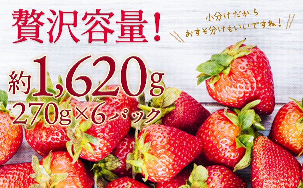 いちご 「あまおう」 約270g×6パック 計約1620g 苺 イチゴ 果物 フルーツ 【2026年2月上旬～2026年3月下旬順次発送予定】