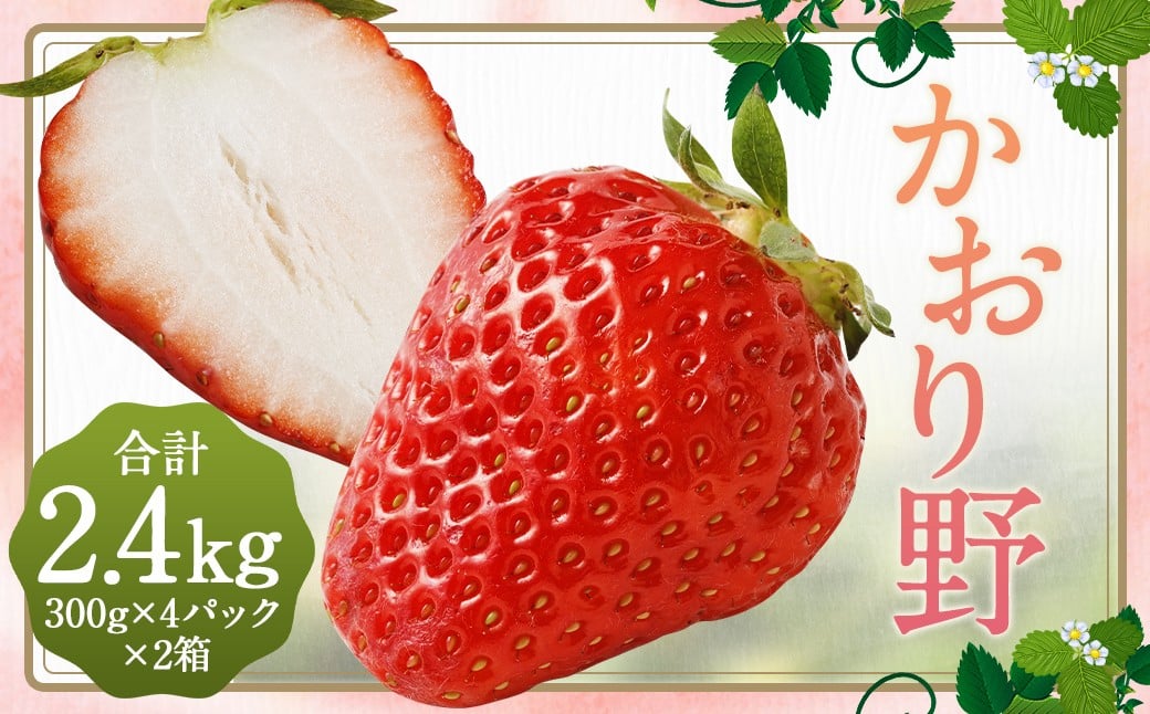 いちご 「かおり野」 プレミアム 約2.4kg ＜300g×4パック＞ 2箱 計8パック 【2025年12月下旬から2026年3月下旬まで発送予定】 苺 イチゴ 果物 果実 フルーツ 大粒 冷蔵 九州 福岡県 筑後市