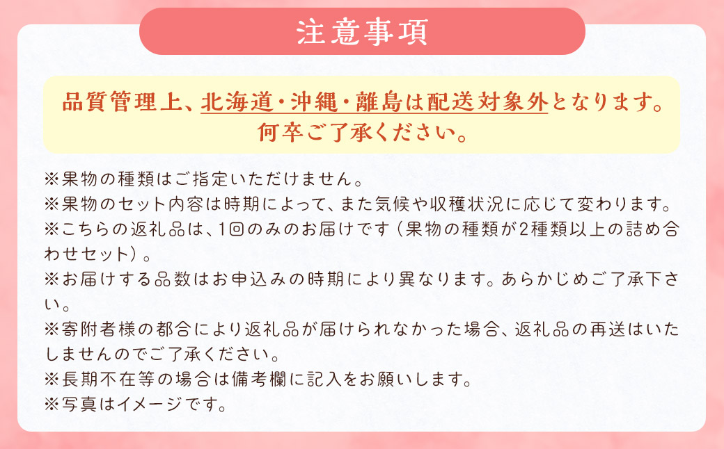 旬の果物 詰め合わせ セット 福岡県産 フルーツ 季節 果物