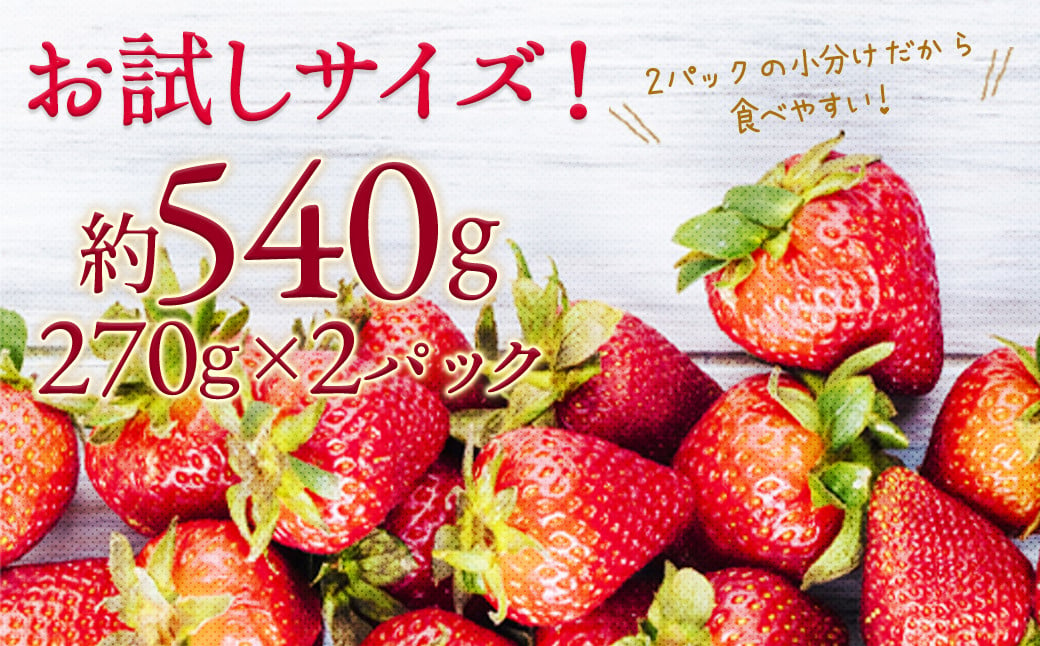 いちご「あまおう」 約270g×2パック 合計 約540g【2025年1月下旬～3月下旬発送】