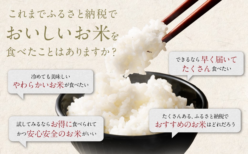 【12回定期便】 筑後の実り 15kg×12回 定期便 米 白米 ブレンド ご飯 国産 贈り物 定期便 福岡県 筑後市