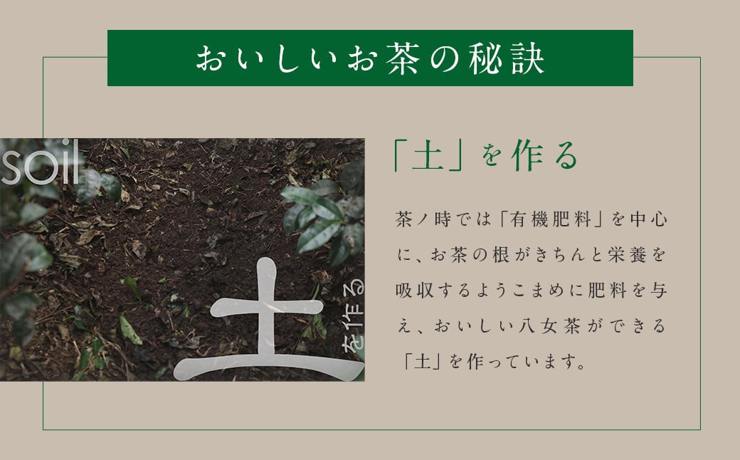 【訳アリ 簡易包装】八女茶農家が自宅で飲む 農家のこだわり かぶせ煎茶 80g×8袋 お茶 緑茶 八女茶 煎茶 ティーバッグ 飲料 訳あり