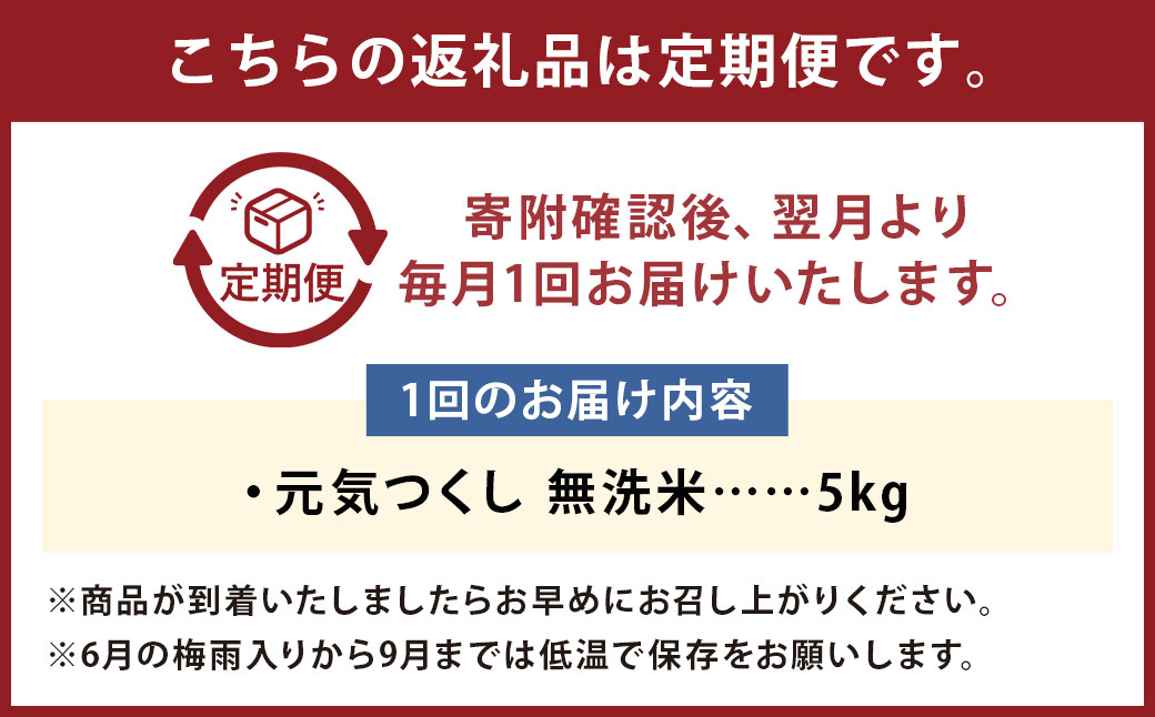 【12回定期便】フタエさんの お米 元気つくし 無洗米 5kg×12回 計60kg 米 コメ ごはん ご飯 うるち米 国産 福岡県産 九州産