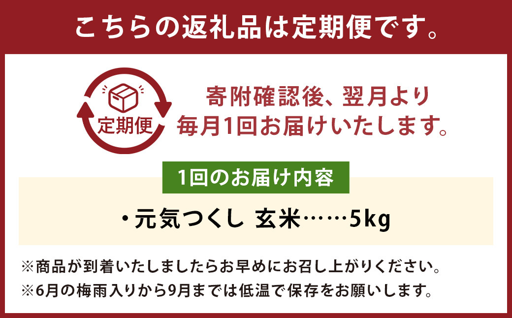 【12回定期便】フタエさんの お米 元気つくし 玄米 5kg×12回 計60kg 米 コメ ごはん ご飯 うるち米 国産 福岡県産 九州産