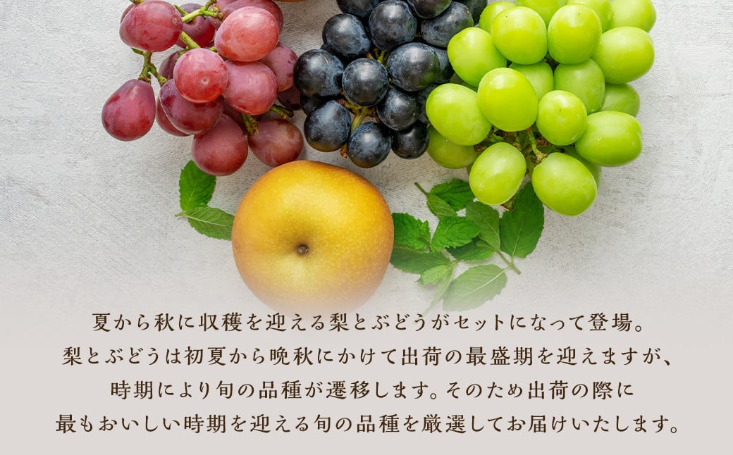 数量限定 よらん野 特選 梨 と ぶどう セット（品種おまかせ） 【2025年8月上旬～9月下旬発送】 幸水 豊水 新興 葡萄 巨峰 ピオーネ 果物 フルーツ