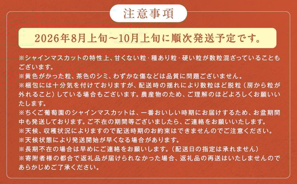農園直送！ シャインマスカット 約600g 1房 【2026年8月上旬～10月上旬発送予定】 ぶどう マスカット 果物 フルーツ