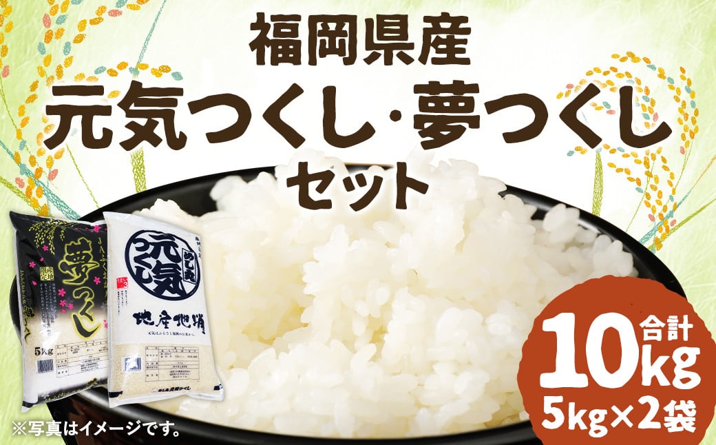 令和6年産 元気つくし・夢つくしセット 各5kg×1袋 計10kg  / 米 お米 ご飯 精米 九州 福岡