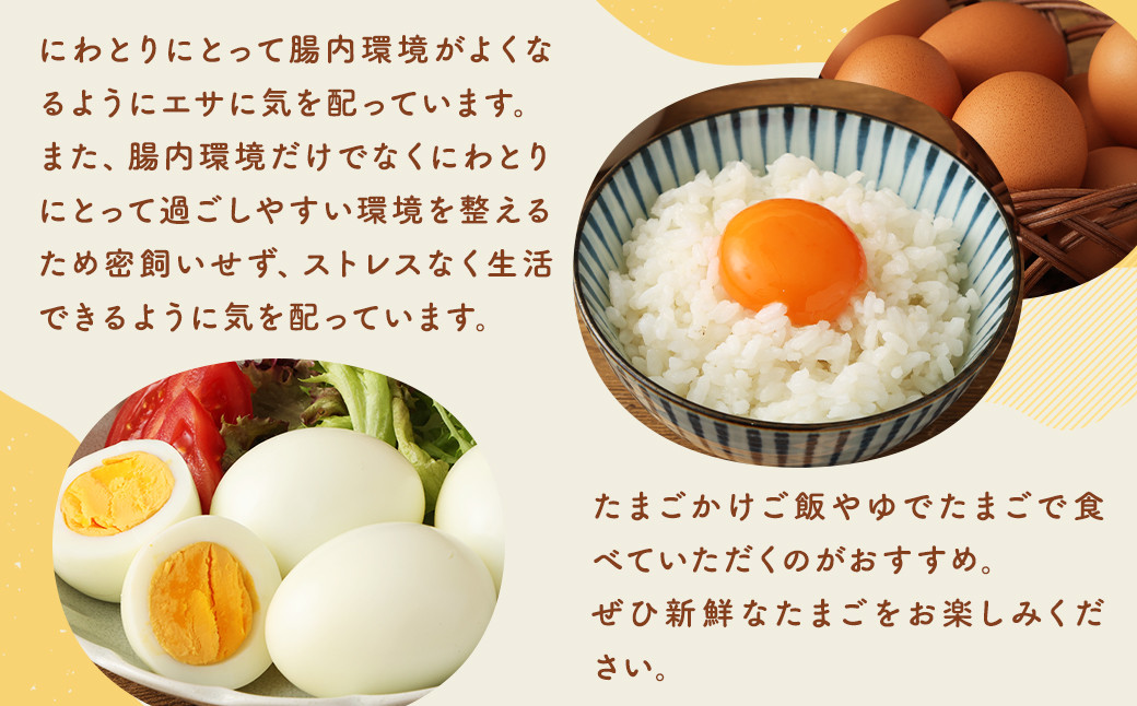 【 3回 定期便 】 王様の大好物 たまご 30個×3回 ( 25個＋破卵保障5個 ) 福岡県産 国産 にわとり 卵かけご飯 ゆでたまご	