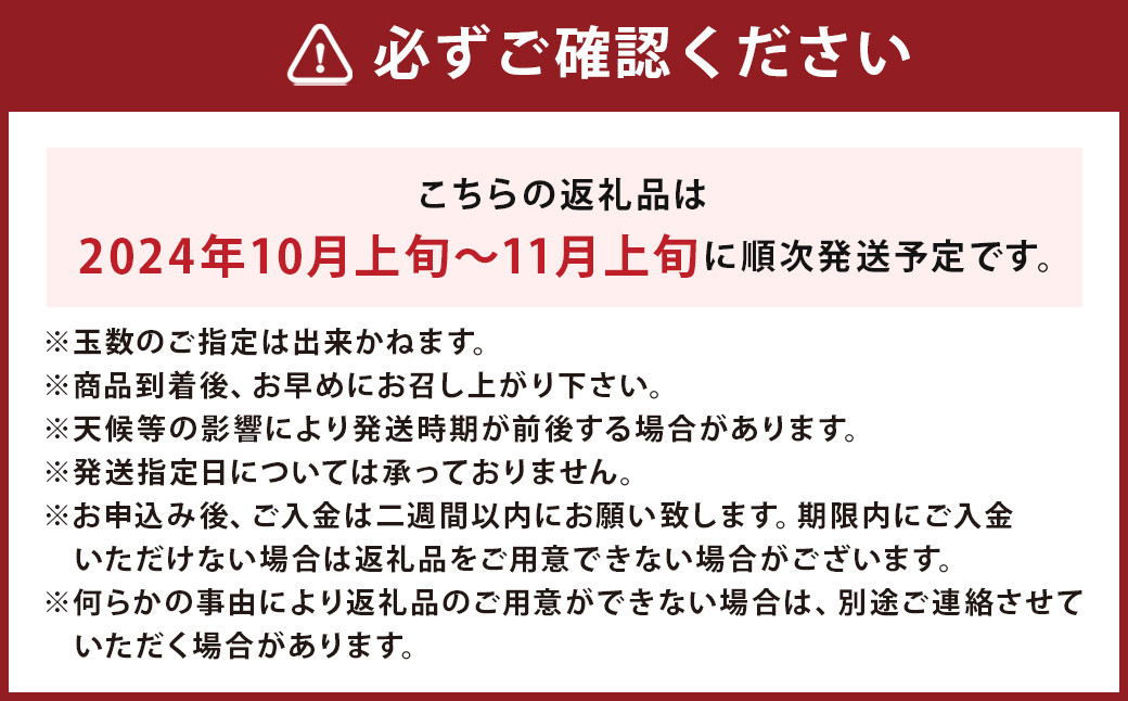  博多 秋王 8~12玉 柿 甘柿 福岡県産 【2024年10月上旬～11月上旬順次発送予定】