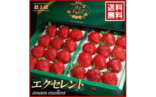  【期間限定】博多 あまおう いちご エクセレント 約450g×2パック 合計約900g【2025年1月下旬～2月下旬順次発送予定】