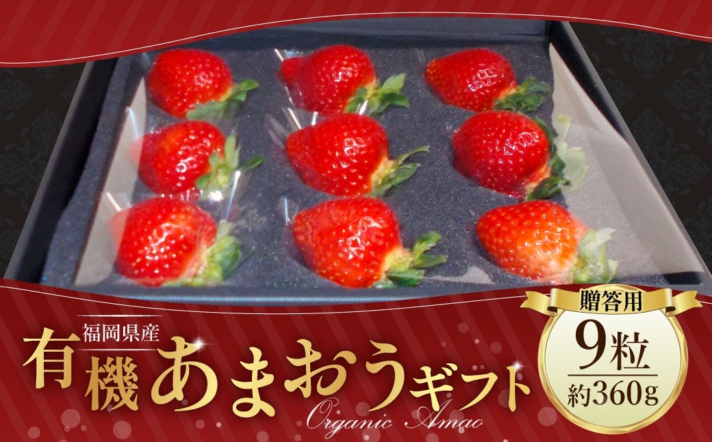贈答用有機あまおうギフト 【2026年1月上旬～3月下旬頃発送予定】 苺 いちご イチゴ 果物 くだもの フルーツ 国産 冷蔵 有機あまおう あまおう 贈答用 ギフト