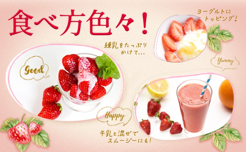 いちご 「あまおう」 約270g×6パック 計約1620g 苺 イチゴ 果物 フルーツ 【2026年2月上旬～2026年3月下旬順次発送予定】