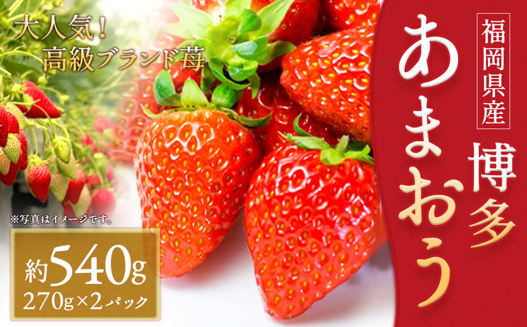 いちご「あまおう」 約270g×2パック 合計 約540g【2025年1月下旬～3月下旬発送】