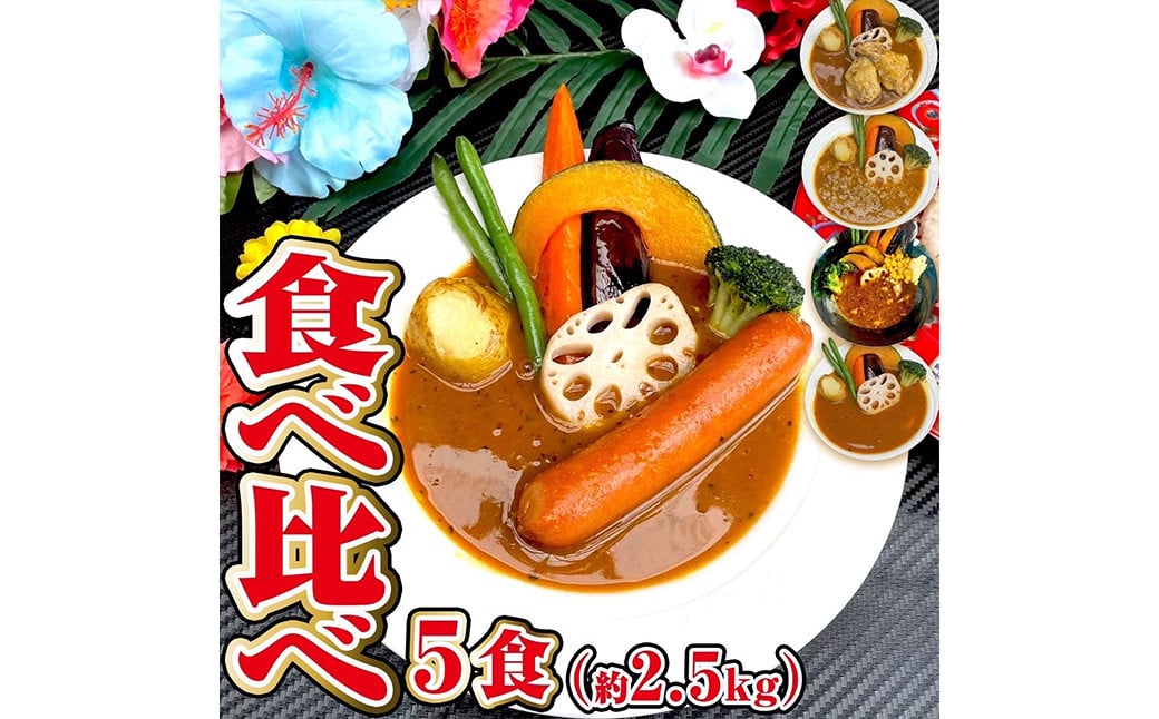 冷凍 スープカレー 食べ比べ 5食 セット 計約2.5kg / チキン キーマ ウインナー 薬膳 ベジタブル カレー レトルトカレー レトルト食品 詰め合わせ