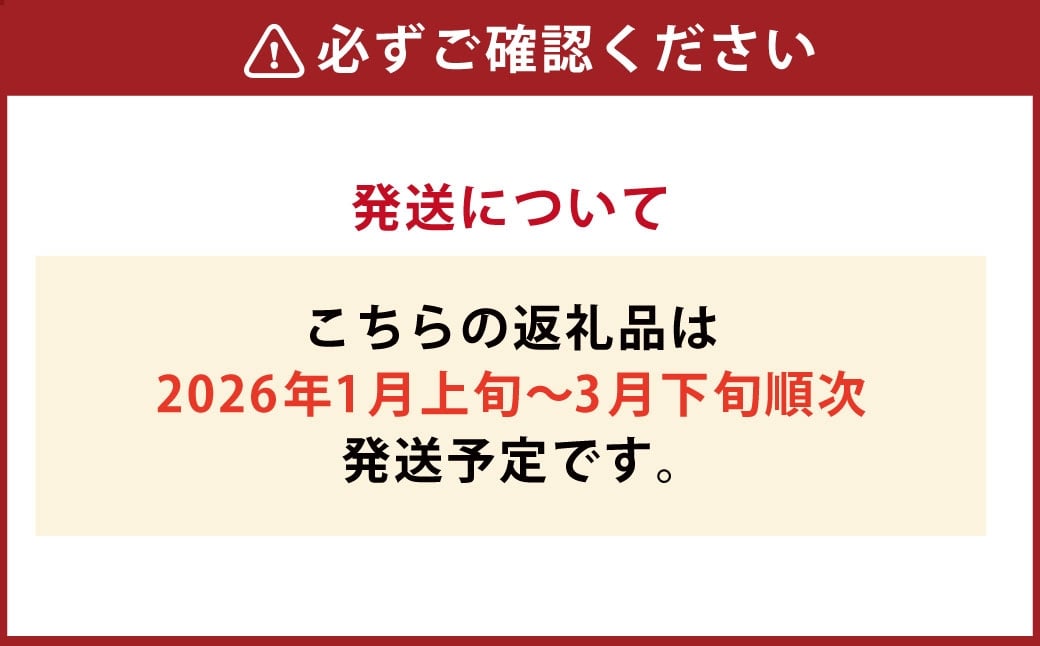 贈答用有機あまおうギフト 【2026年1月上旬～3月下旬頃発送予定】 苺 いちご イチゴ 果物 くだもの フルーツ 国産 冷蔵 有機あまおう あまおう 贈答用 ギフト
