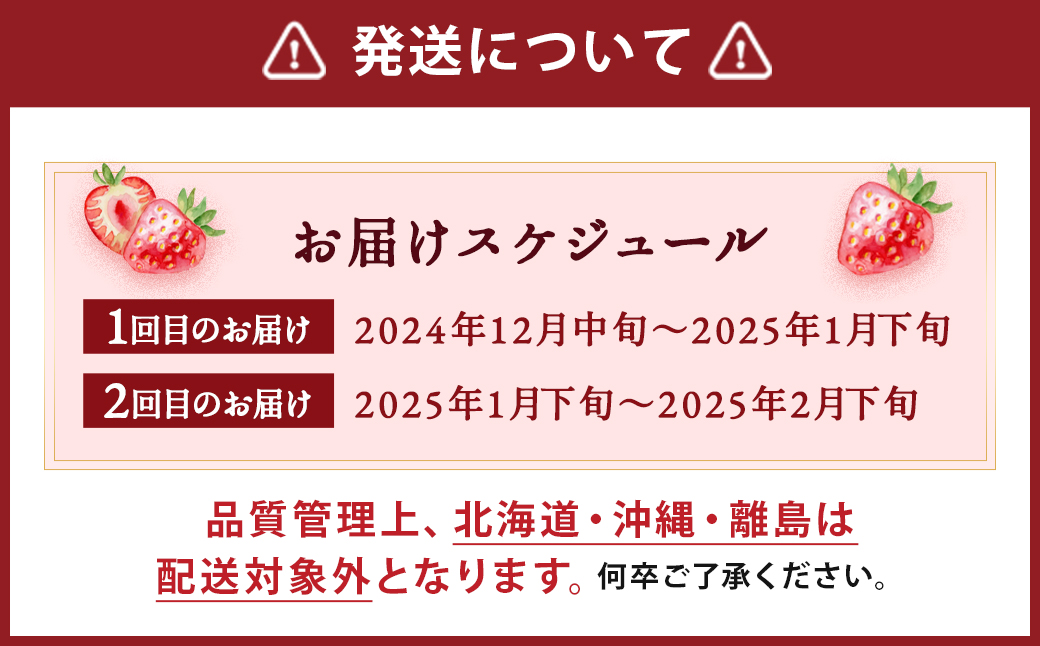 【2回定期便】いちご「あまおう」 約270g×4パック 合計 約2160g【2024年12月中旬発送開始】