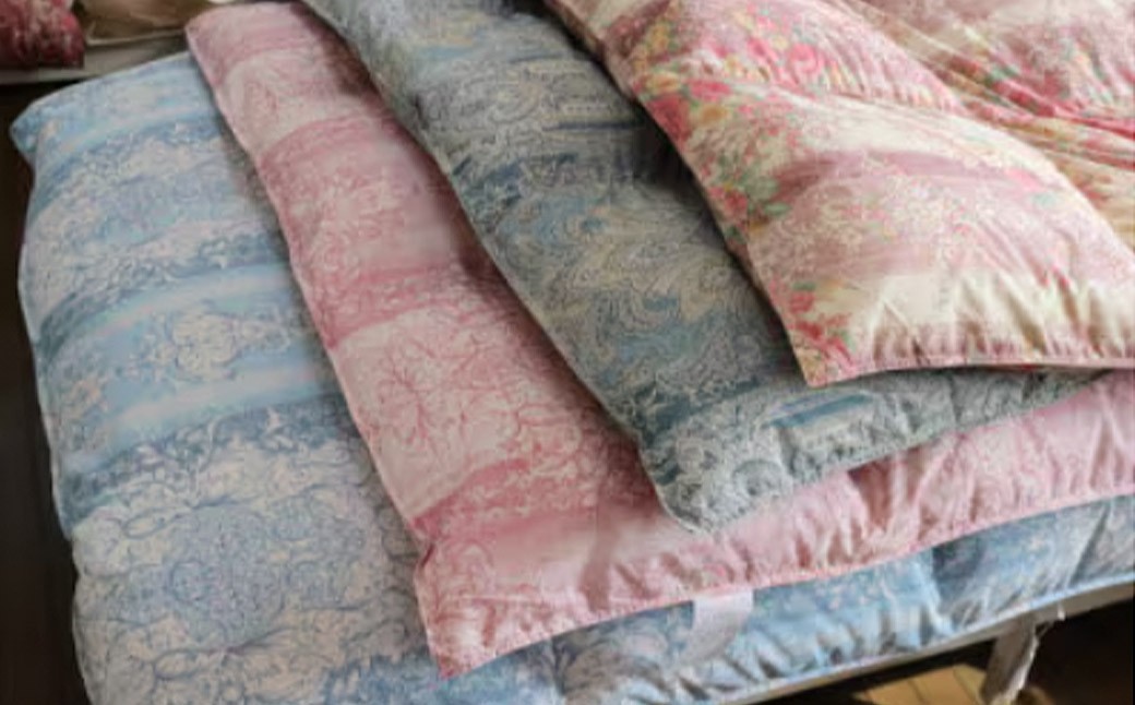 羽毛 専門工場 直送 国産 羽毛ふとん ダックダウン 70% 1.0kg 防臭加工 色柄おまかせ 洗える羽毛ふとん 収納 ケース付き マンション 暑がり 軽量 タイプ 節電 対策 福岡県 筑後市