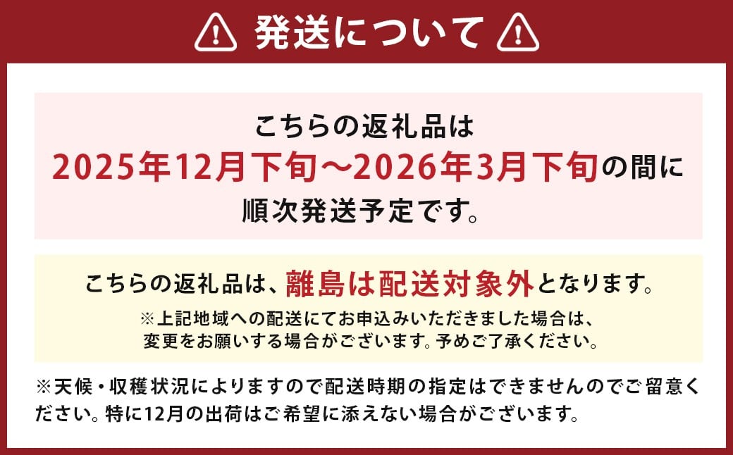 いちご 「かおり野」プレミアム 300g×4パック 約1.2kg 1箱【2025年12月下旬から2026年3月下旬まで発送予定】 苺 イチゴ ベリー 果物 フルーツ デザート おやつ お取り寄せ