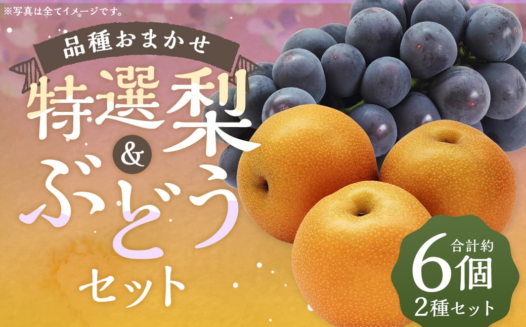 数量限定 よらん野 特選 梨 と ぶどう セット（品種おまかせ） 【2025年8月上旬～9月下旬発送】 幸水 豊水 新興 葡萄 巨峰 ピオーネ 果物 フルーツ