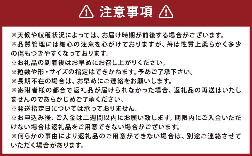 【3回定期便】 特別栽培の 濃厚 完熟 あまおう 約1kg 約250g×4パック【2025年1月上旬から3月下旬発送予定】 苺 いちご 果物 フルーツ 福岡県