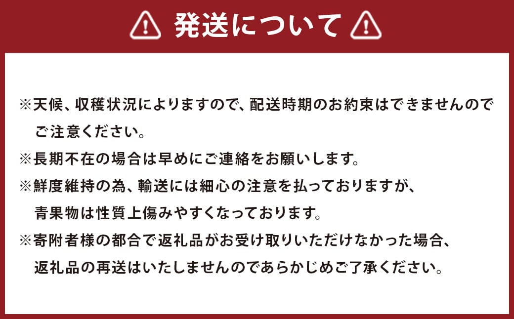  いちご「 あまおう 」 約270g×4パック 計約1080g 【12月上旬～1月下旬順次発送予定】