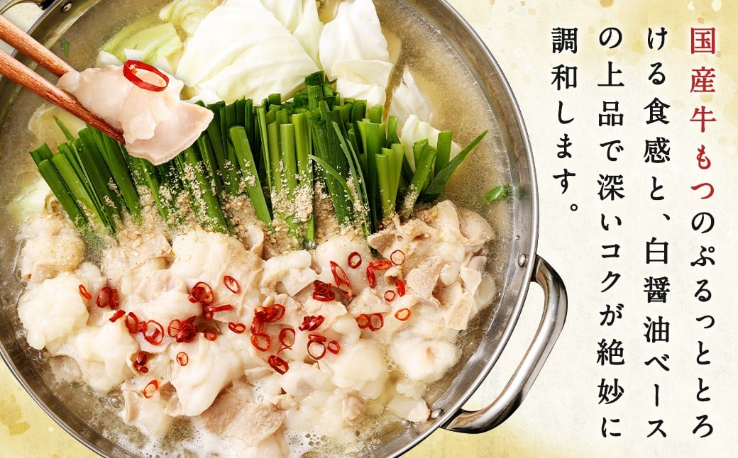 ダルム屋名物【国産】塩モツ鍋 15人前（3人前×5） 塩 牛 もつ モツ 鍋 ちゃんぽん 麺 セット 牛 小腸 国産 冷凍