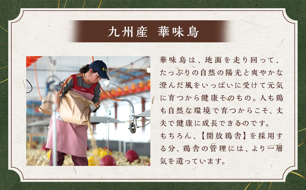 åå€è¯å³é³¥æ°Žãããã€éã»ãã ïŒ å3ïœ4人å ïŒ é¶è çå°è
ž ãœãé
¢ ã€ãã ãã£ãã 麺 é ãé å·å åºæ± ã¡ãããœã éæç ã¡ãããœã麺 ã¹ãŒã é¶ãã©ã éç ã¢ãé ãã€é æ°Žçã