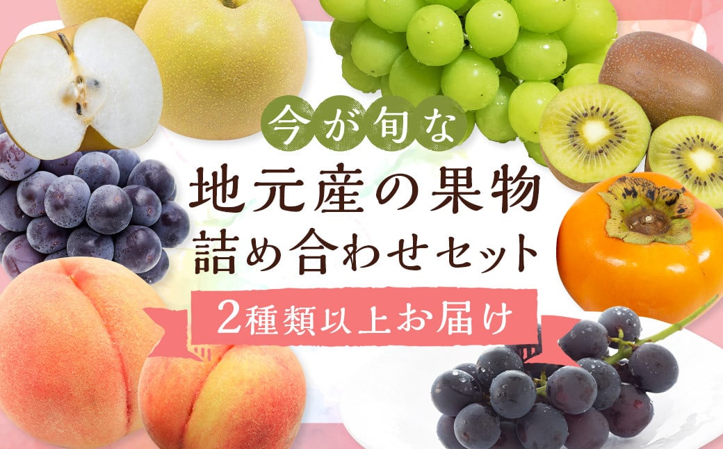 旬の果物 詰め合わせ セット 【2025年6月上旬～順次発送予定】 福岡県産 フルーツ 季節 果物