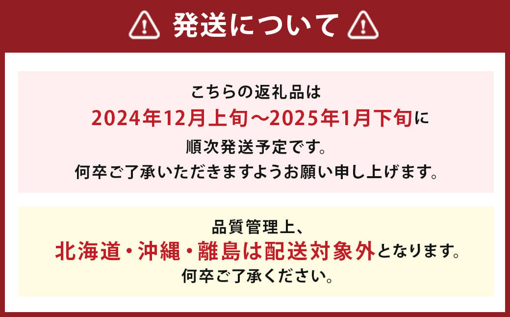  いちご「 あまおう 」 約270g×4パック 計約1080g 【12月上旬～1月下旬順次発送予定】