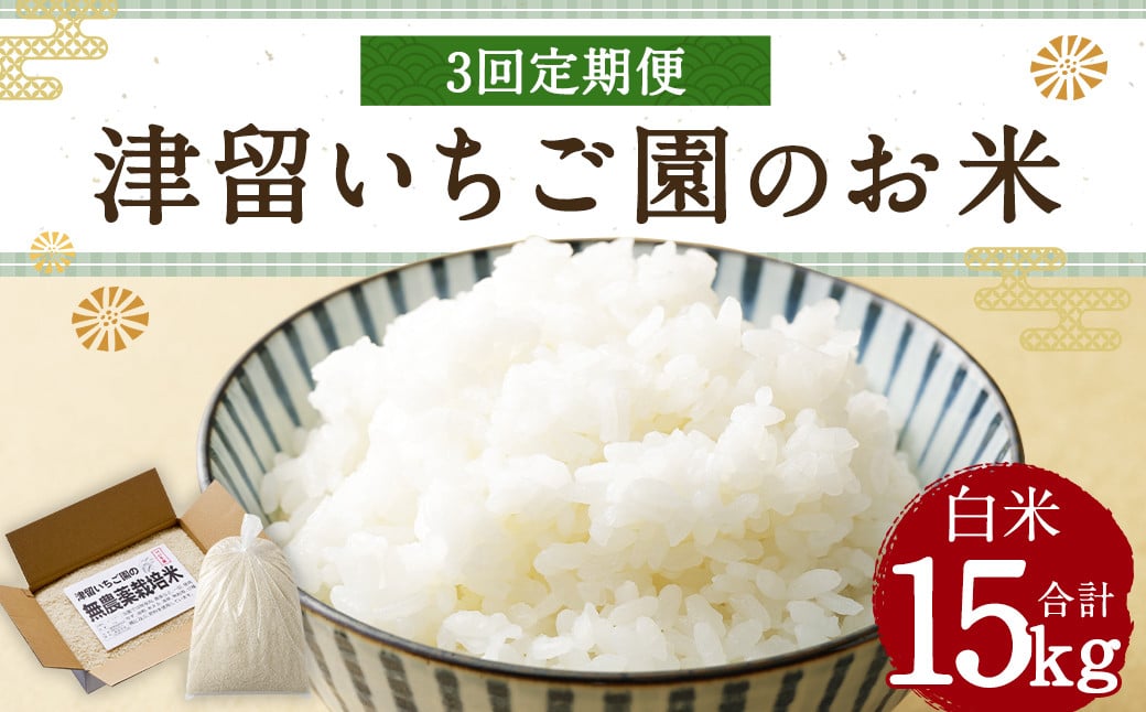 【3回定期便】 津留いちご園のお米 白米 農薬・化学肥料不使用（栽培期間中） 約5kg×3回 合計約15kg【2024年11月上旬発送開始】 ご飯 定期便 福岡県産 国産